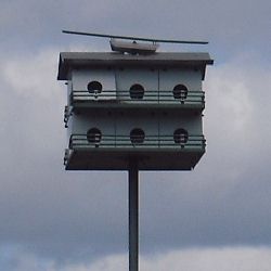 Bird house  nest box  Bird house plans